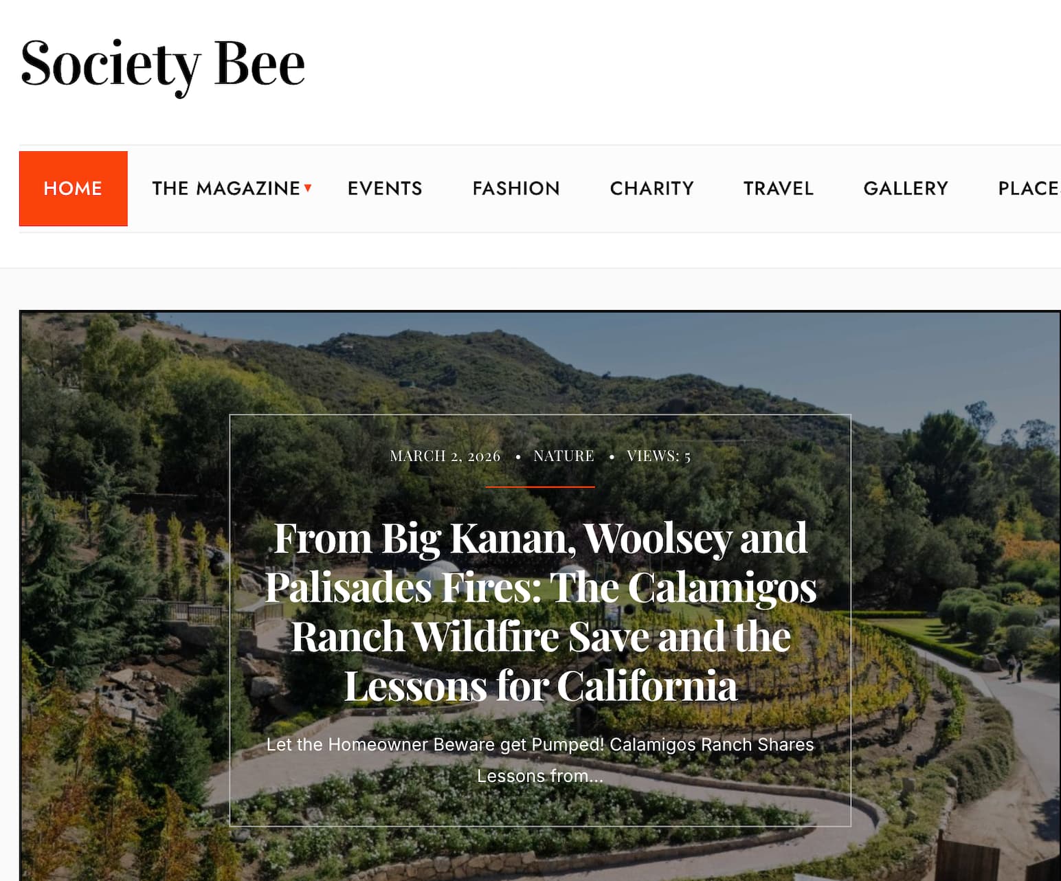 Cover of Society Bee